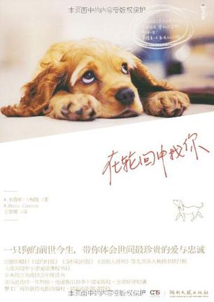 在轮回中找你（一条狗的使命原著）在线阅读