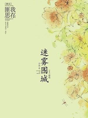 迷雾围城在线阅读