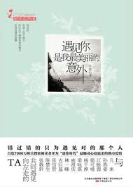 遇见你是我最美丽的意外在线阅读