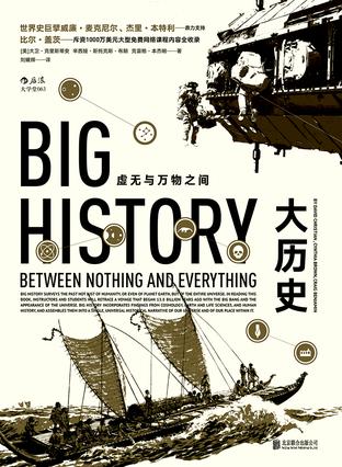 大历史:虚无与万物之间在线阅读