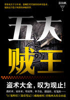 五大贼王小说在线阅读