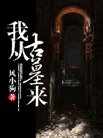 我从古墓来小说在线阅读