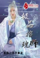 极品招魂师在线阅读