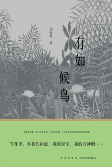 有如候鸟在线阅读