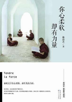 你心柔软，却有力量小说在线阅读