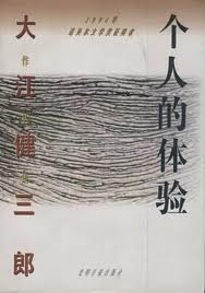 个人的体验小说在线阅读