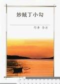 妙贼丁小勾小说在线阅读