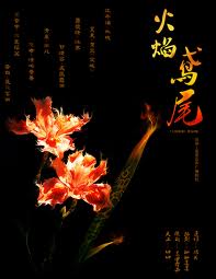 火焰鸢尾小说在线阅读