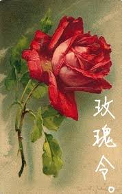 玫瑰令小说在线阅读