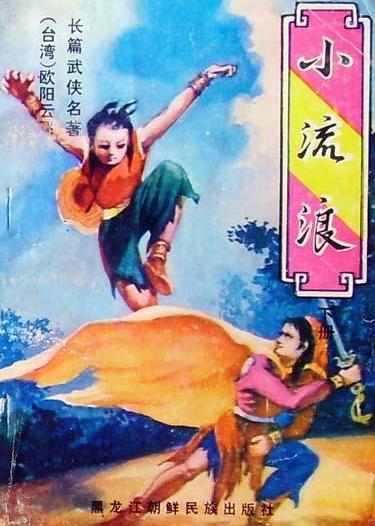 小流浪小说在线阅读