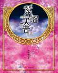紫诏天音小说在线阅读