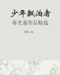 少年飘泊者小说在线阅读