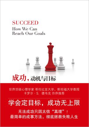 成功，动机与目标小说在线阅读