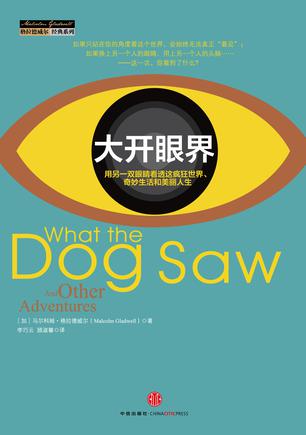 大开眼界:用另一双眼睛看透这疯狂世界、奇妙生活和美丽人生在线阅读
