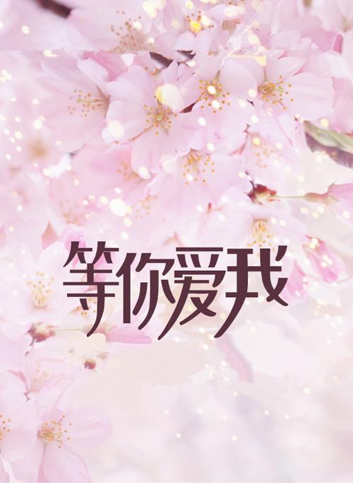 一路逆风小说在线阅读