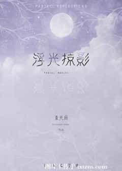 浮光掠影小说在线阅读
