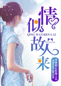 情似故人来小说在线阅读