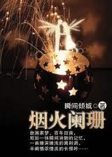 烟火阑珊小说在线阅读