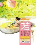 何所冬暖,何所夏凉小说在线阅读