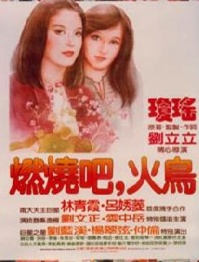 燃烧吧火鸟小说在线阅读