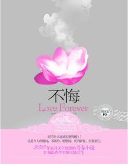 不悔小说在线阅读