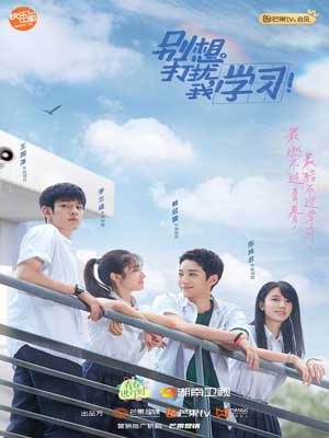 别想打扰我学习在线阅读