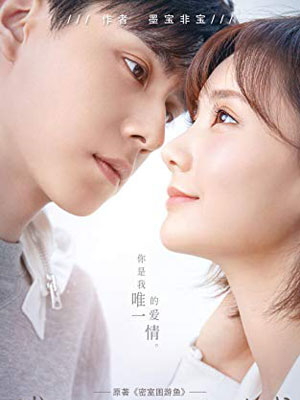 密室困游鱼（我的时代，你的时代）在线阅读