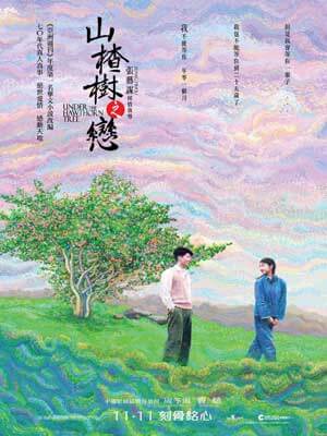 山楂树之恋小说在线阅读