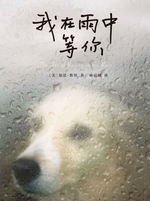我在雨中等你