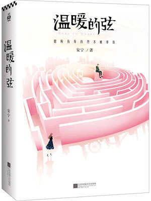 温暖的弦在线阅读